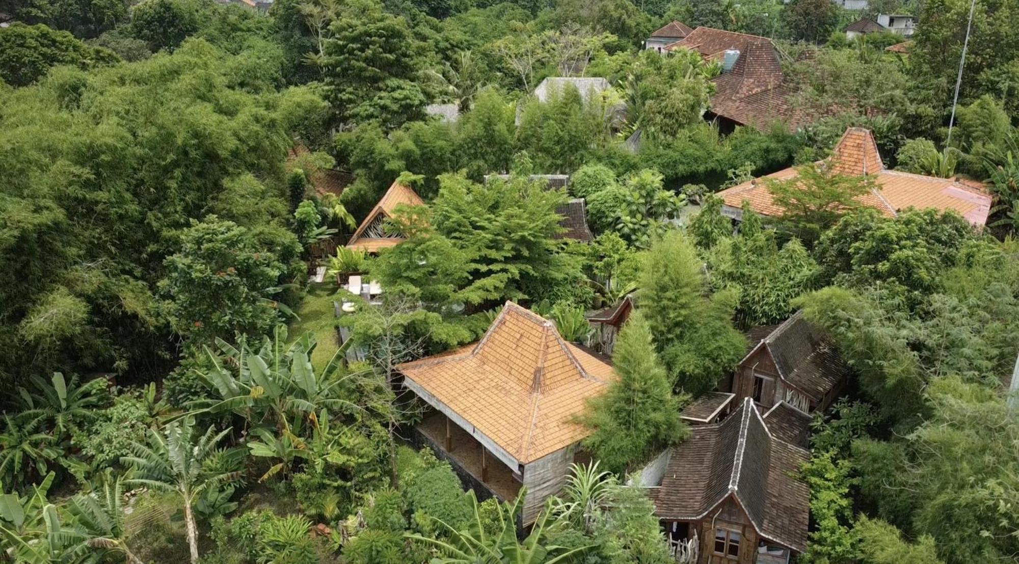 Ubuntu Bali Eco Yoga Retreat - Canggu Екстериор снимка