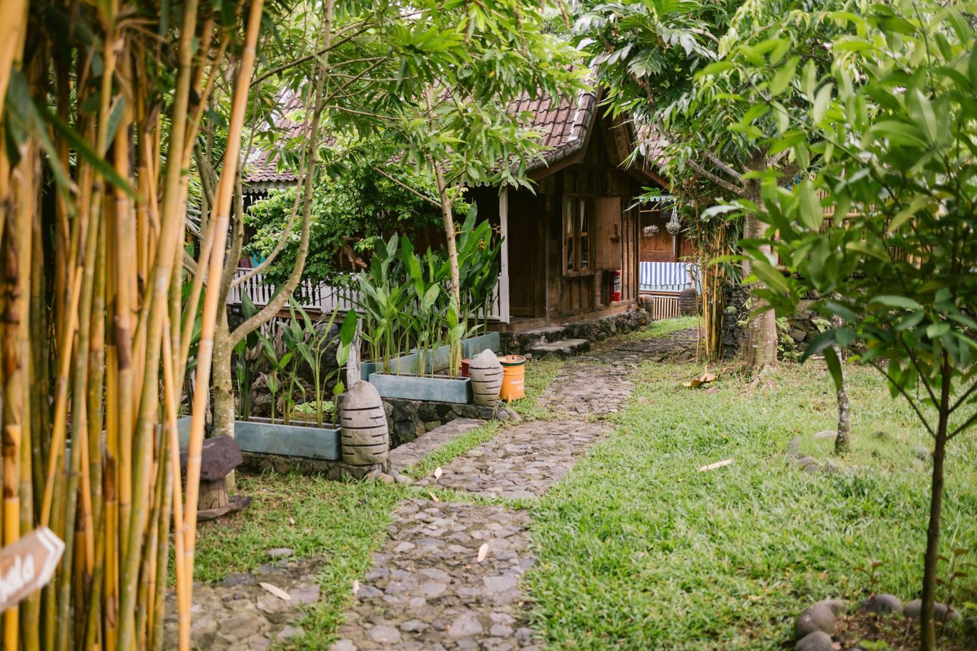 Ubuntu Bali Eco Yoga Retreat - Canggu Екстериор снимка