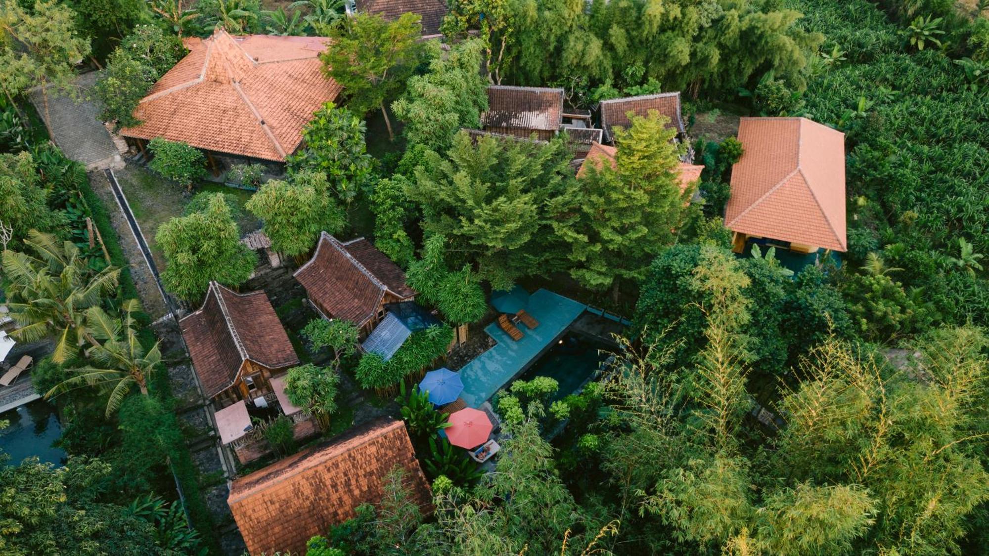 Ubuntu Bali Eco Yoga Retreat - Canggu Екстериор снимка